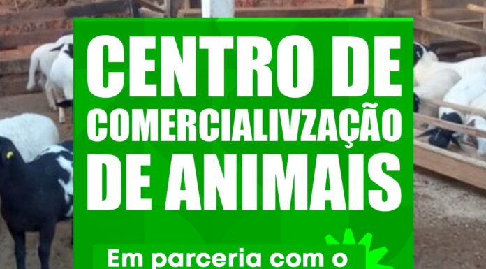 Centro de Comercialização de Animais é confirmado e vai fortalecer a agropecuária de Casa Nova